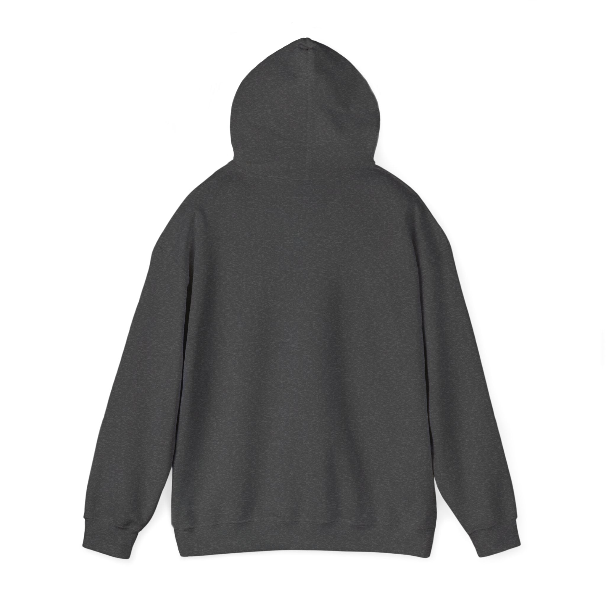 NYC Flag Hooded Sweatshirt – Cozy Unisex Pullover for City Lovers