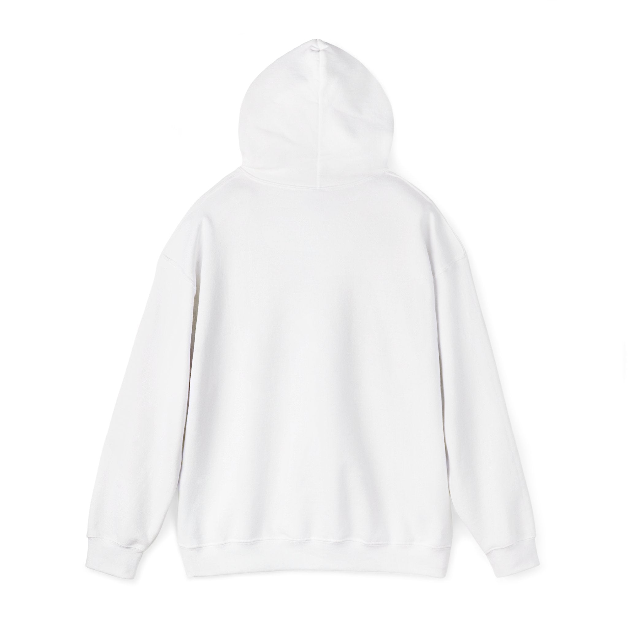 Urban Grunge “No Control” Hoodie – Unisex Heavy-Blend Streetwear Pullover