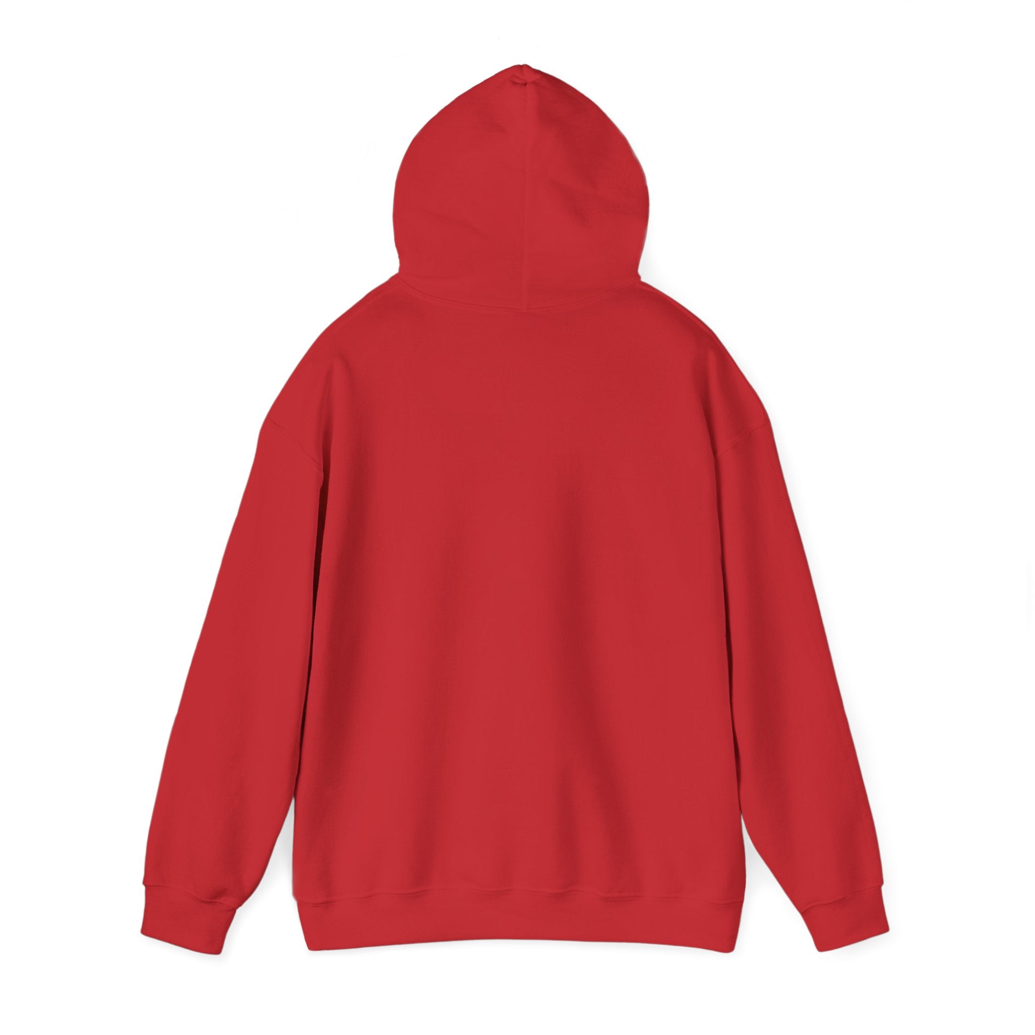 NYC Flag Hooded Sweatshirt – Cozy Unisex Pullover for City Lovers