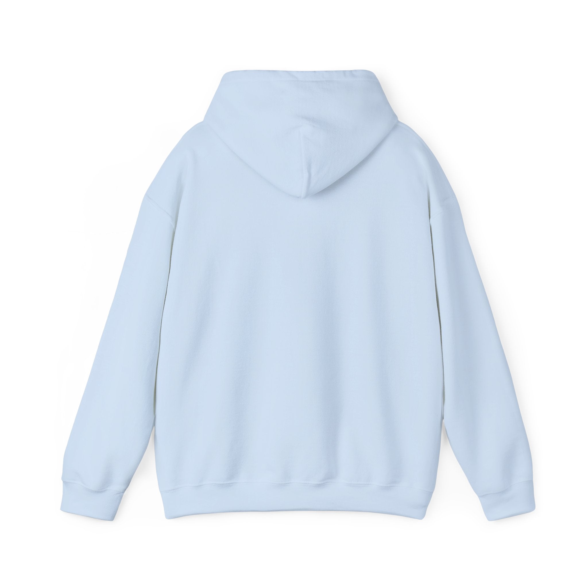 NYC Flag Hooded Sweatshirt – Cozy Unisex Pullover for City Lovers
