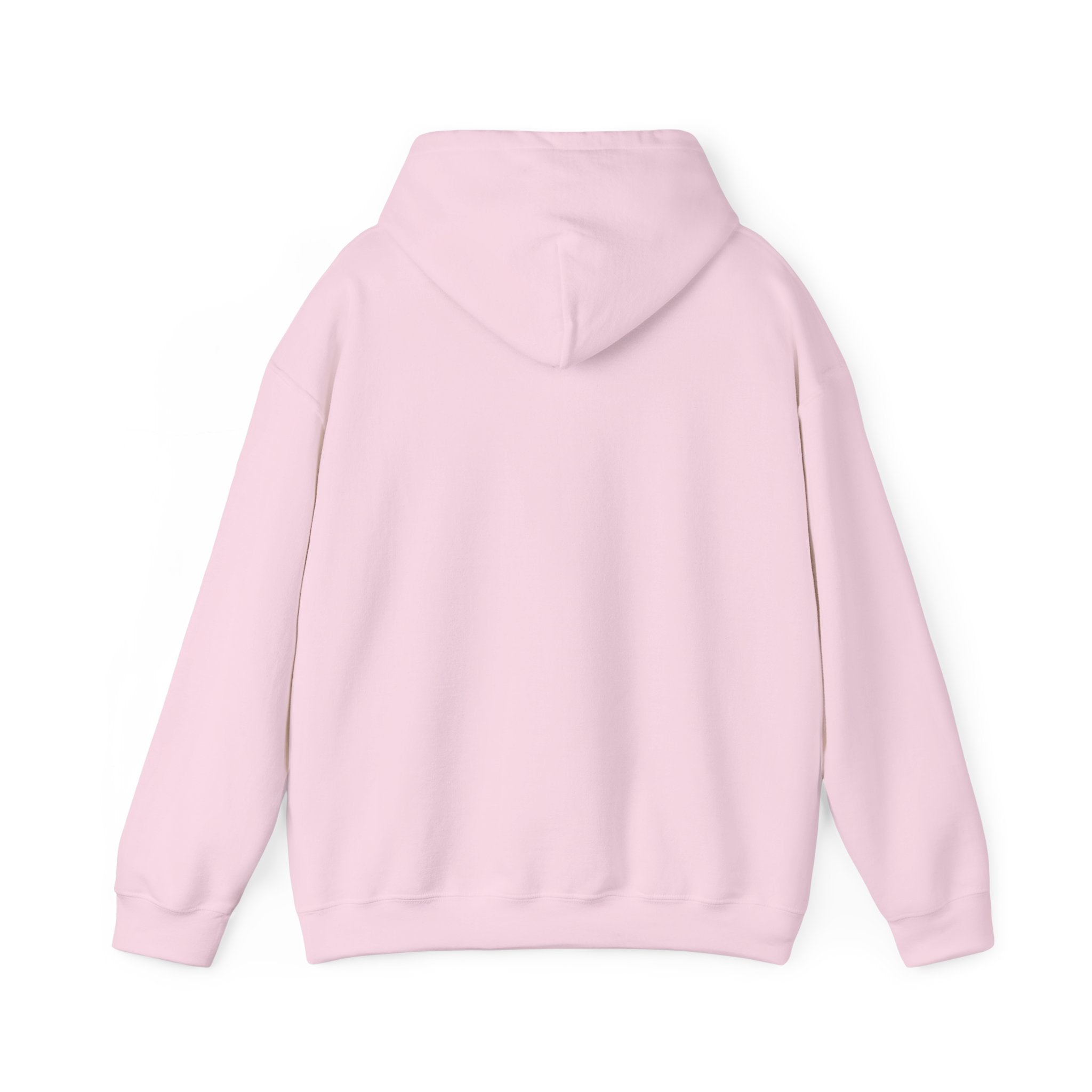 NYC Flag Hooded Sweatshirt – Cozy Unisex Pullover for City Lovers