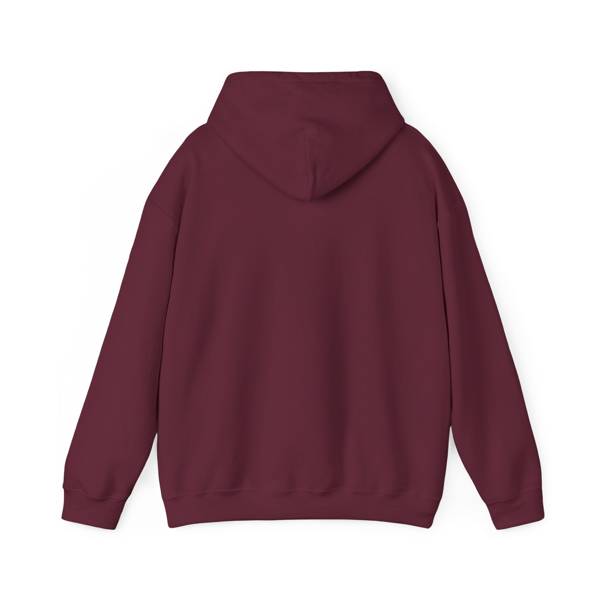 NYC Flag Hooded Sweatshirt – Cozy Unisex Pullover for City Lovers