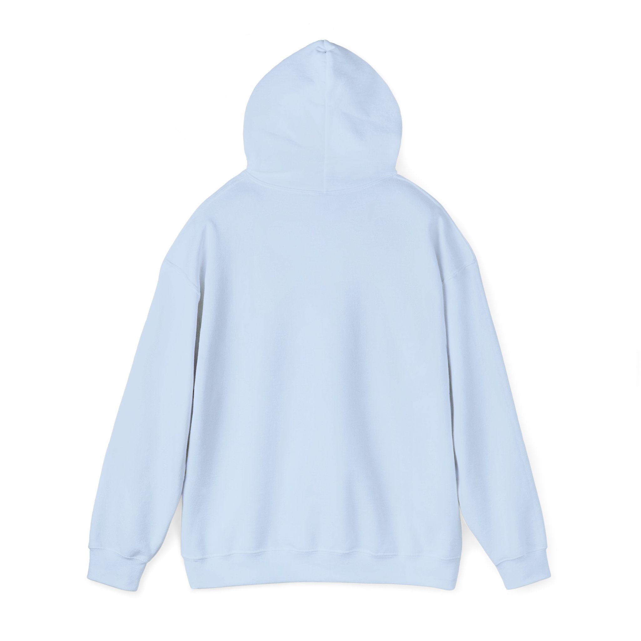 NYC Flag Hooded Sweatshirt – Cozy Unisex Pullover for City Lovers