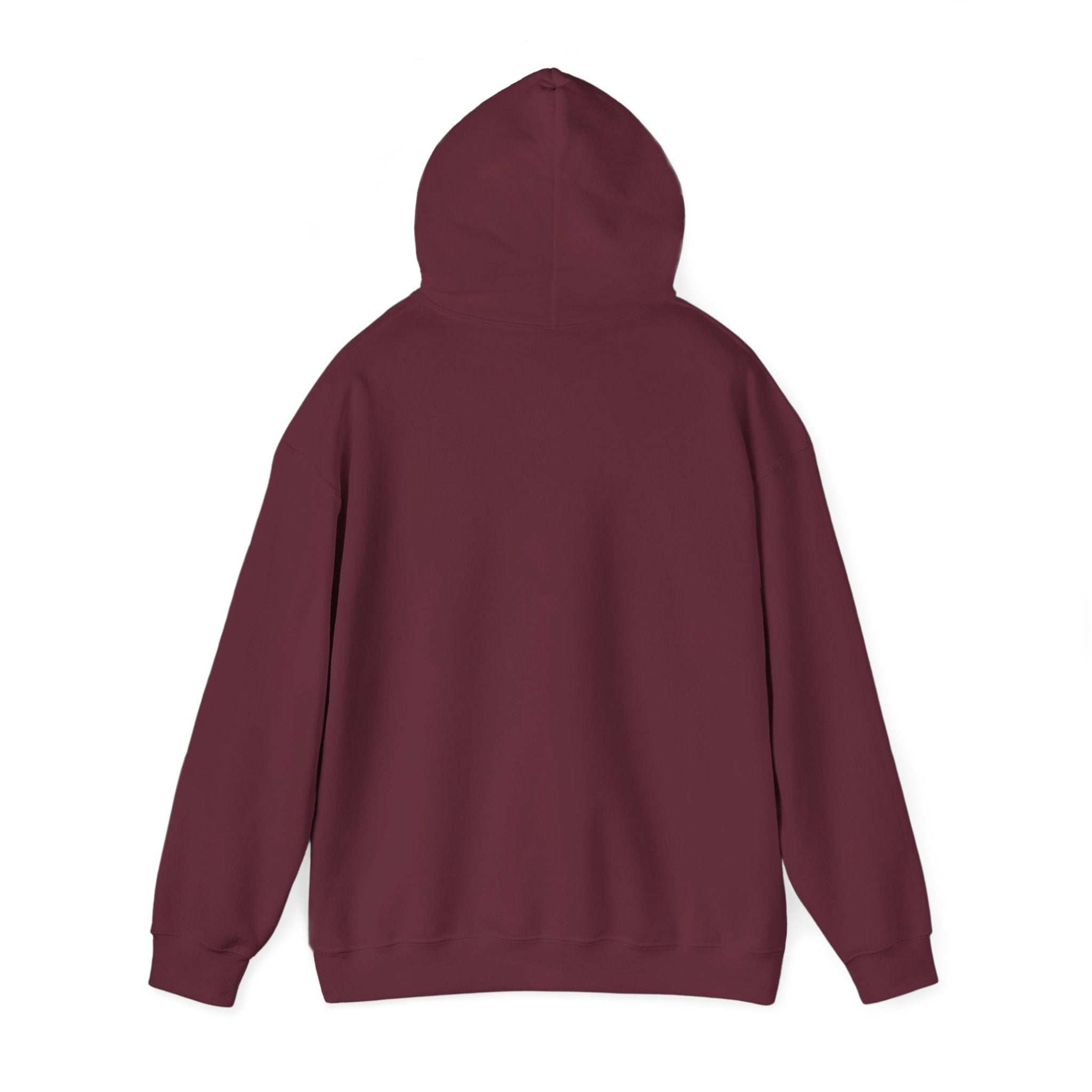NYC Flag Hooded Sweatshirt – Cozy Unisex Pullover for City Lovers