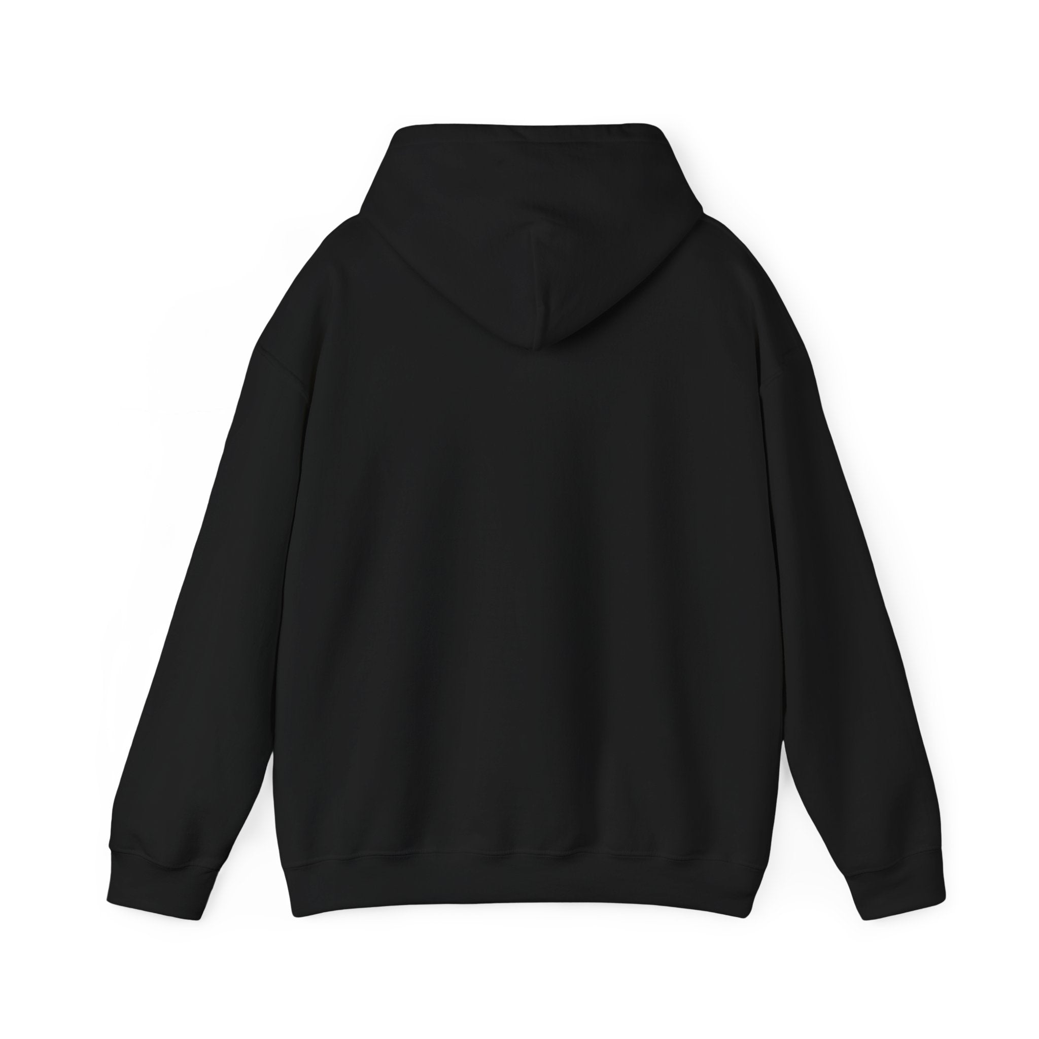 NYC Flag Hooded Sweatshirt – Cozy Unisex Pullover for City Lovers