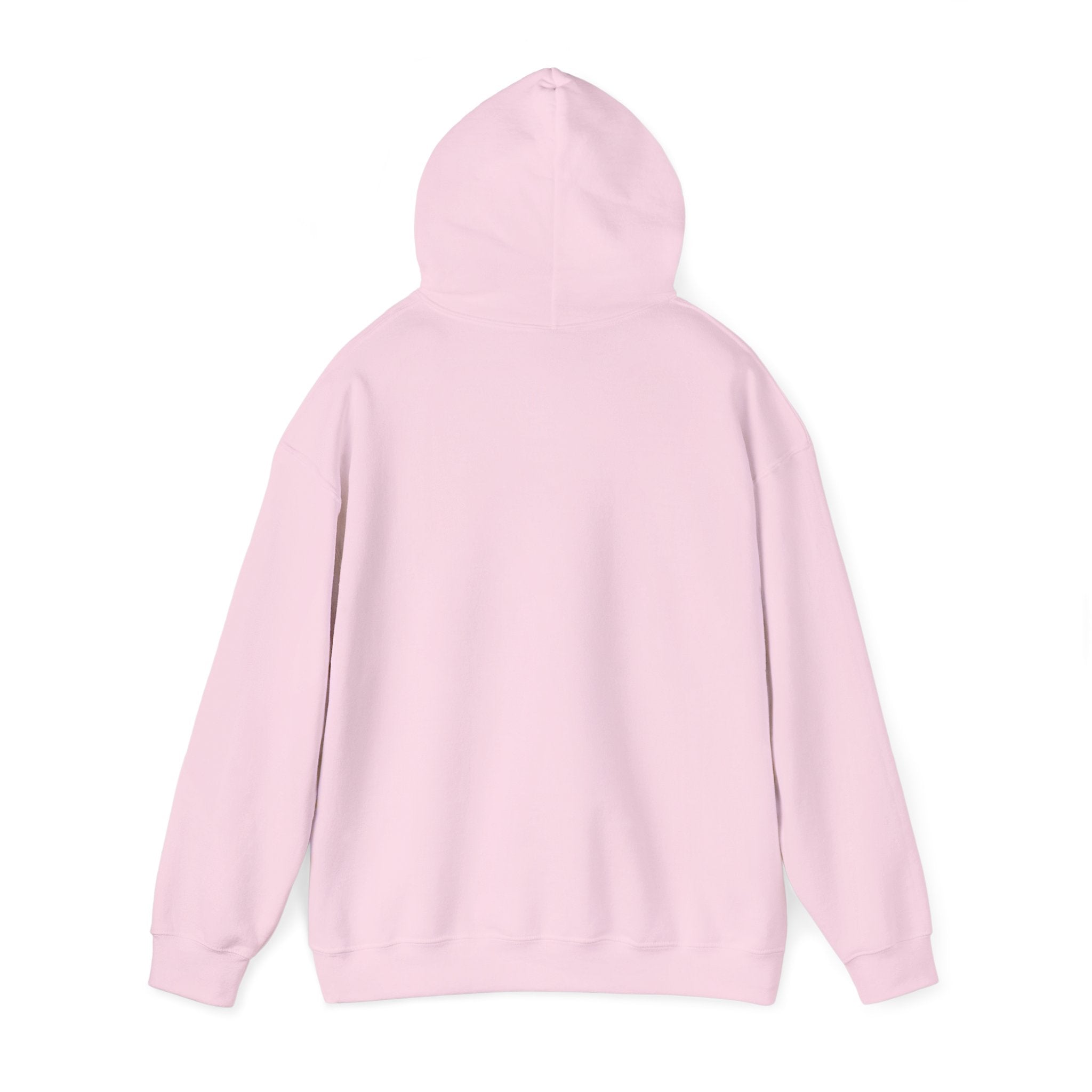 NYC Flag Hooded Sweatshirt – Cozy Unisex Pullover for City Lovers