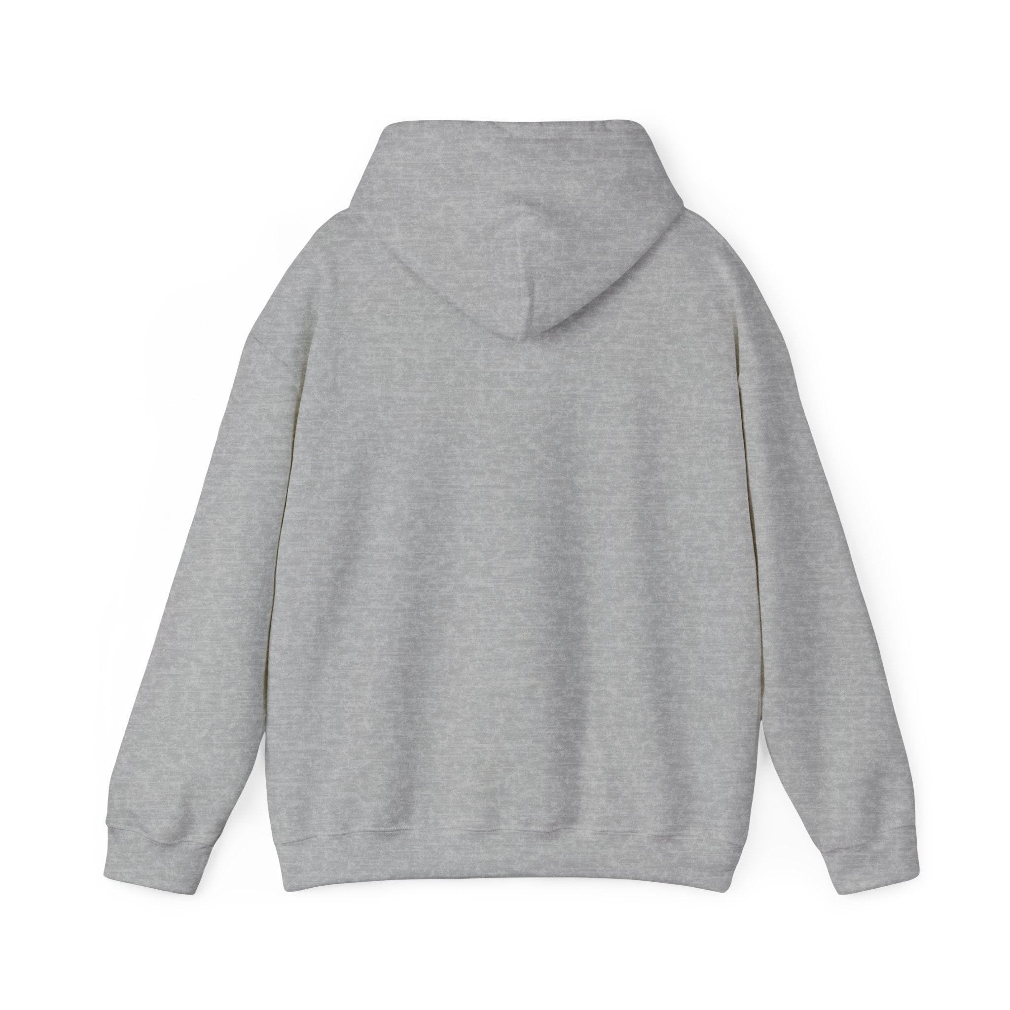 NYC Flag Hooded Sweatshirt – Cozy Unisex Pullover for City Lovers