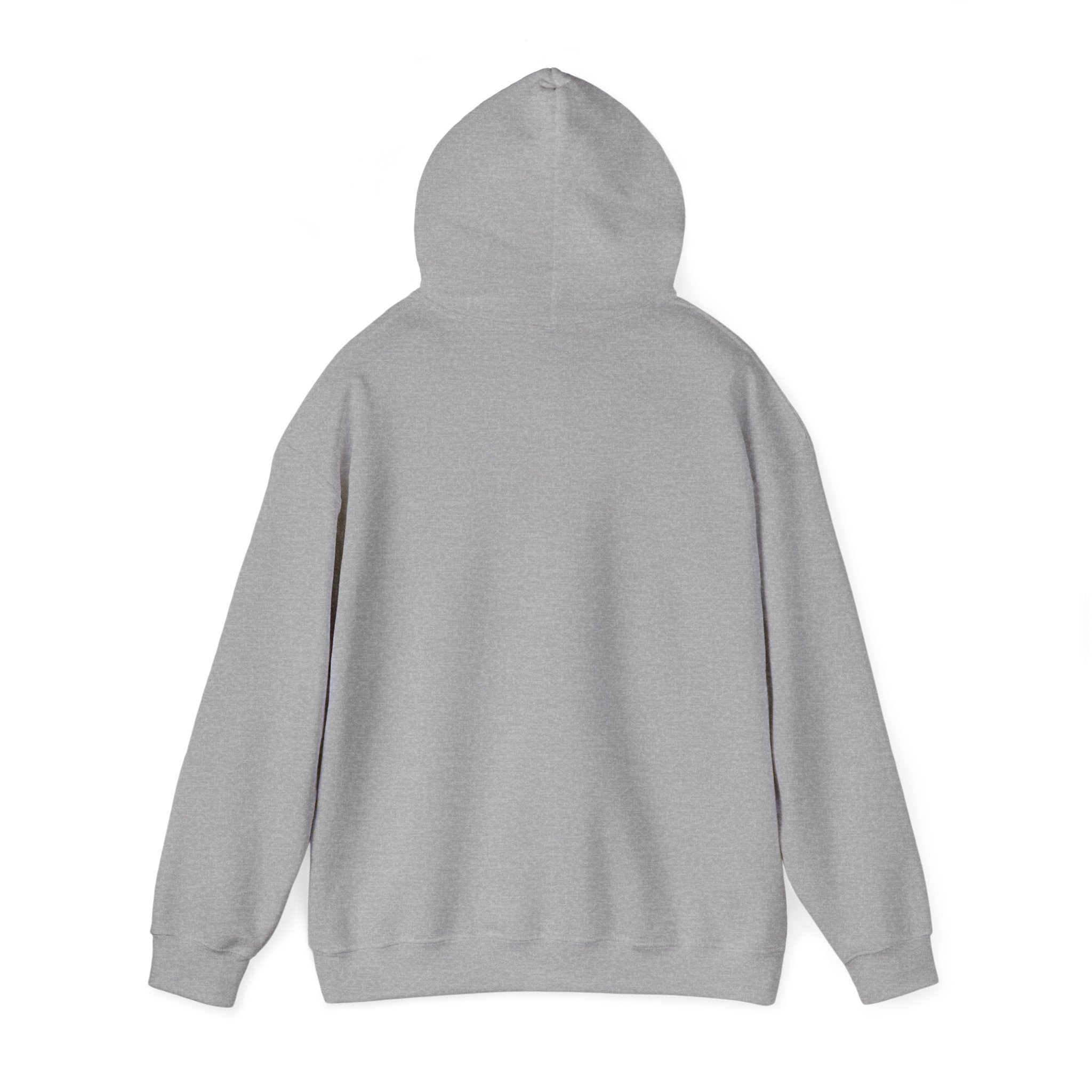 NYC Flag Hooded Sweatshirt – Cozy Unisex Pullover for City Lovers