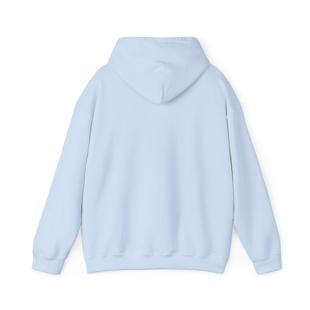 NYC Flag Hooded Sweatshirt – Cozy Unisex Pullover for City Lovers