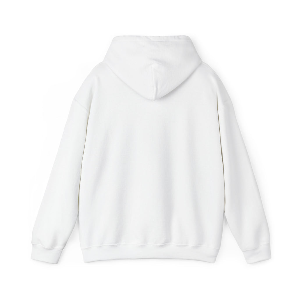 Urban Grunge “No Control” Hoodie – Unisex Heavy-Blend Streetwear Pullover