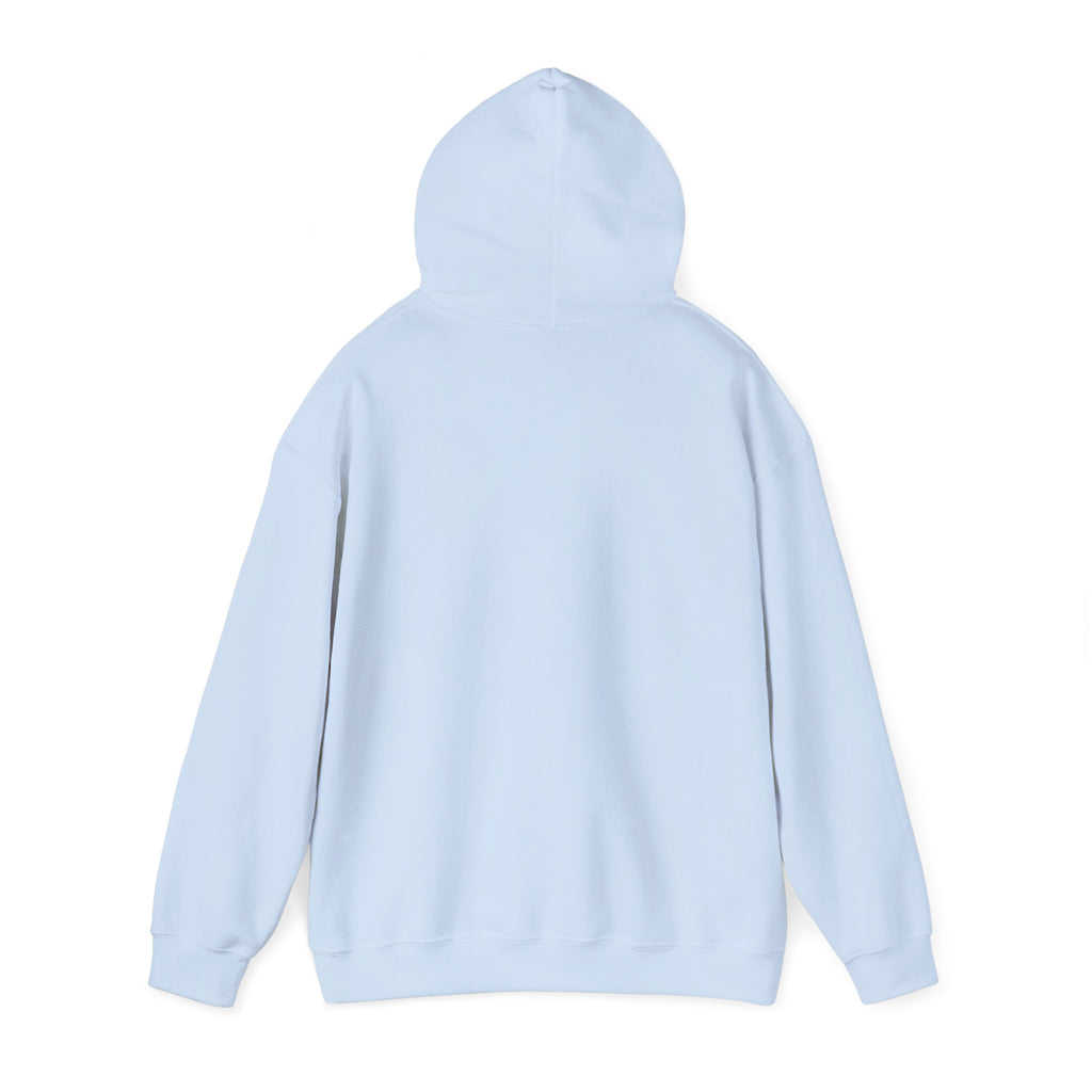 NYC Flag Hooded Sweatshirt – Cozy Unisex Pullover for City Lovers